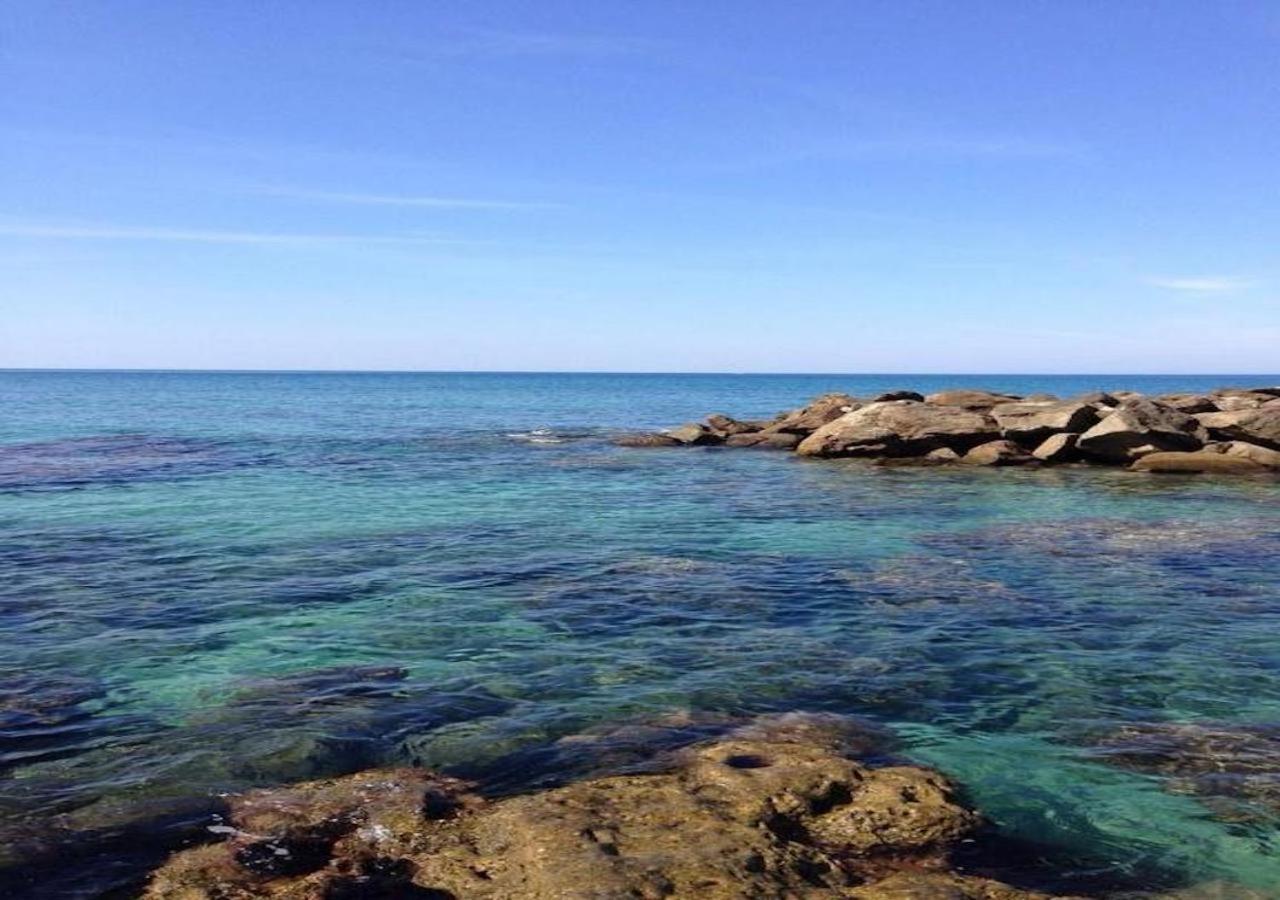 L'Albero Di Limoni Sul Mare Di Pizzo Villa Buitenkant foto