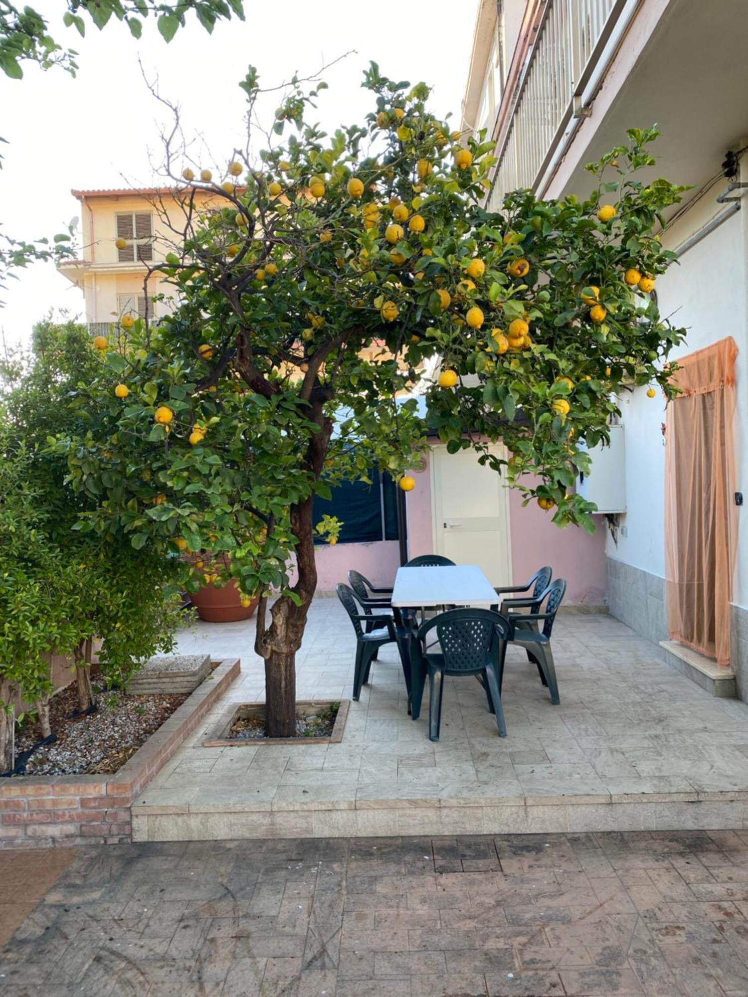 L'Albero Di Limoni Sul Mare Di Pizzo Villa Buitenkant foto
