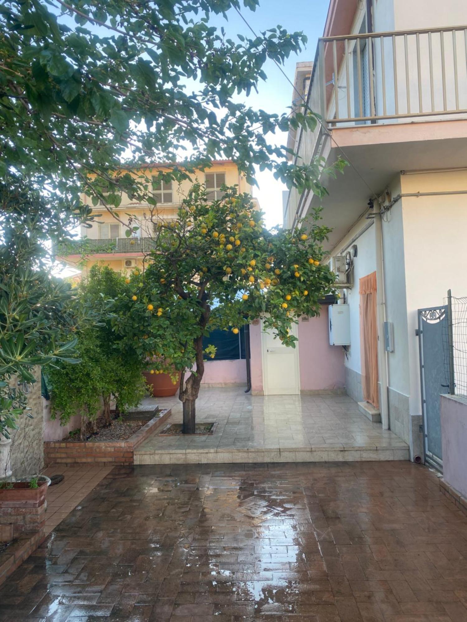 L'Albero Di Limoni Sul Mare Di Pizzo Villa Buitenkant foto