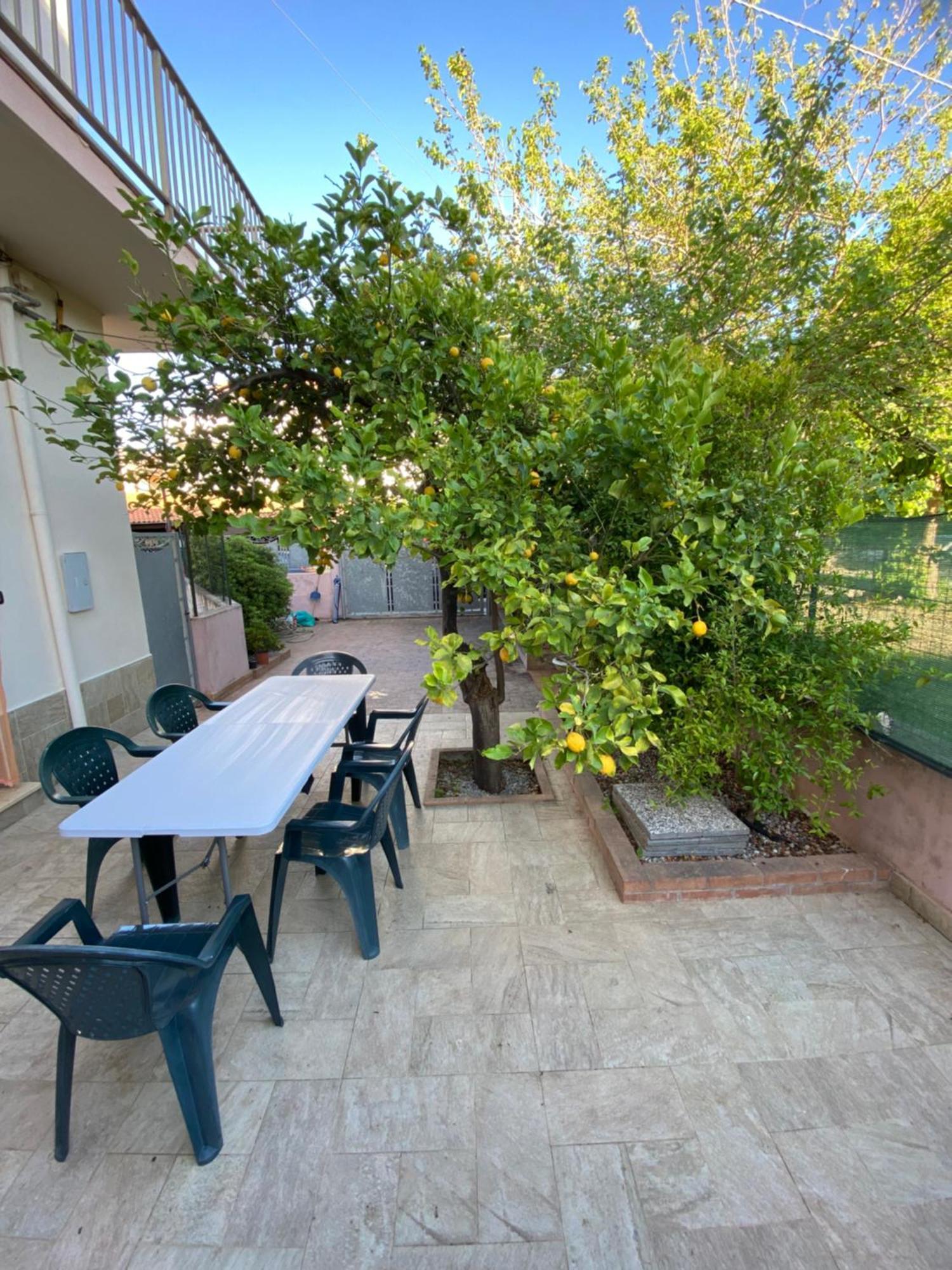 L'Albero Di Limoni Sul Mare Di Pizzo Villa Buitenkant foto