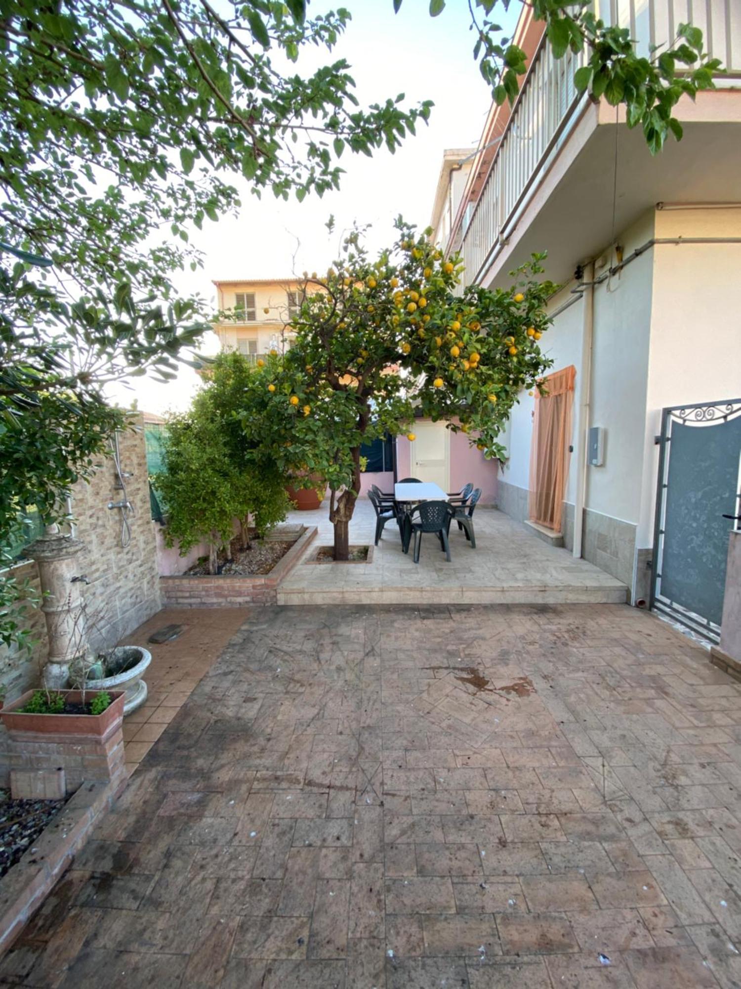 L'Albero Di Limoni Sul Mare Di Pizzo Villa Buitenkant foto